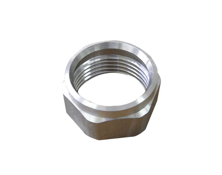 304/316 Non-standard stainless steel bathroom nuts, stainless steel fasteners