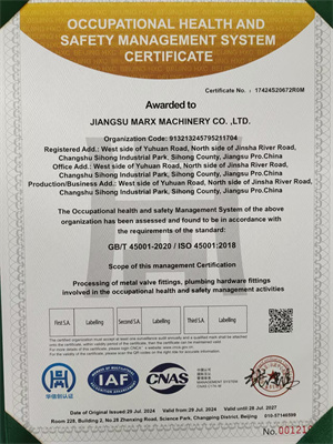 Occupational Health and Safety Management System Certification